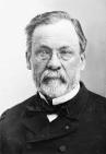 louis-pasteur.jpg